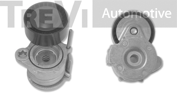 Tensioner Lever, V-ribbed belt (TA1742)