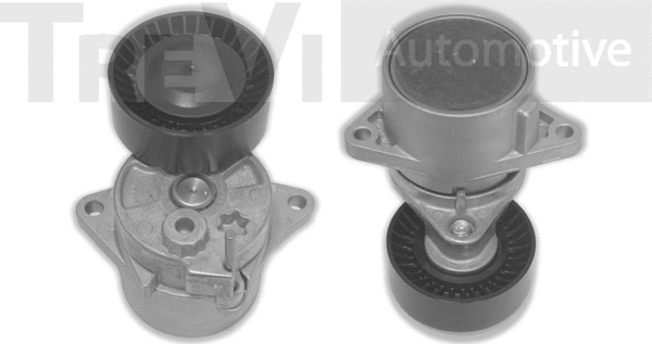 Tensioner Lever, V-ribbed belt (TA1341)