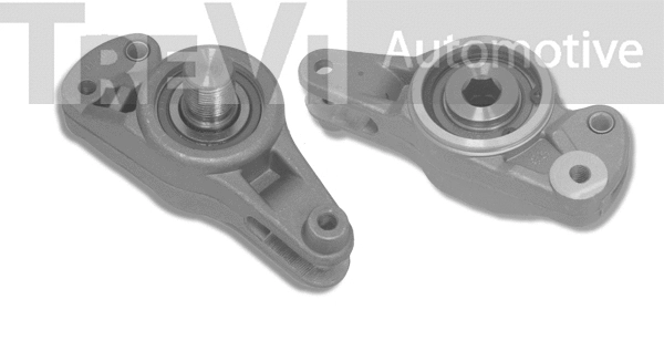 Tensioner Lever, V-ribbed belt (TA1079)