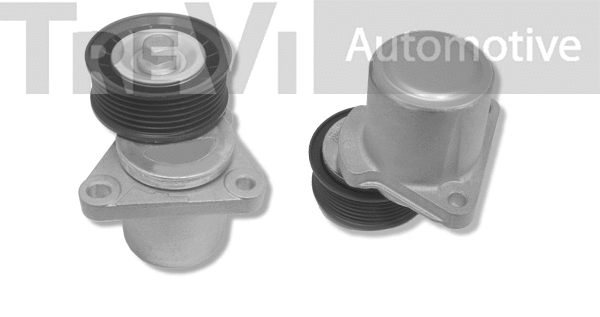 Tensioner Lever, V-ribbed belt (TA1722)