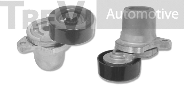 Tensioner Lever, V-ribbed belt (TA1828)