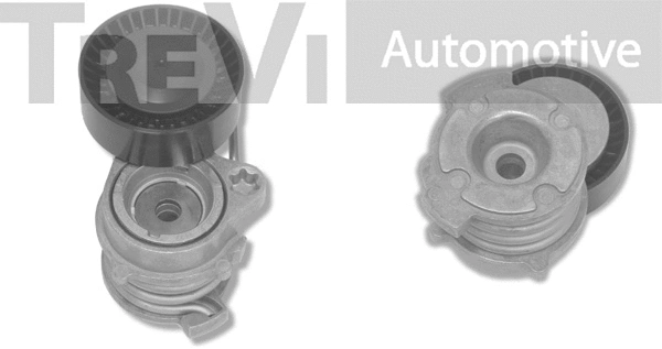 Tensioner Lever, V-ribbed belt (TA1855)
