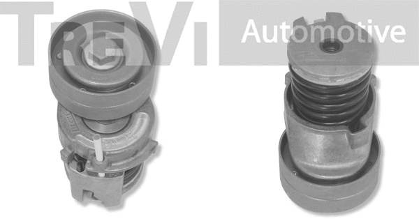 Tensioner Lever, V-ribbed belt (TA1814)