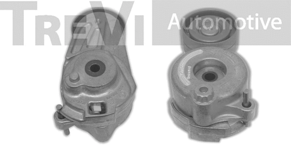 Tensioner Lever, V-ribbed belt (TA1834)