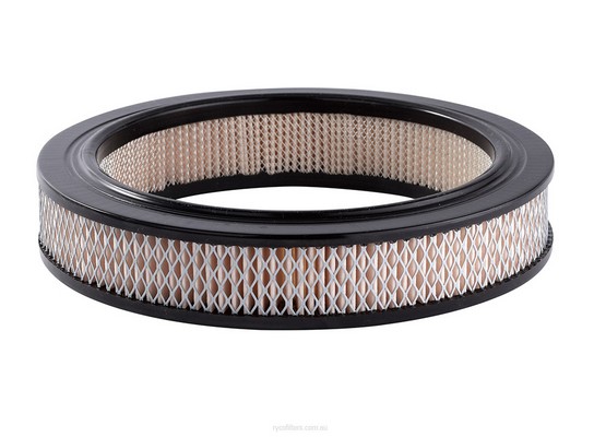 Air Filter (A217)