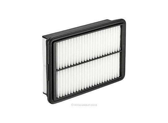 Air Filter (A1950)