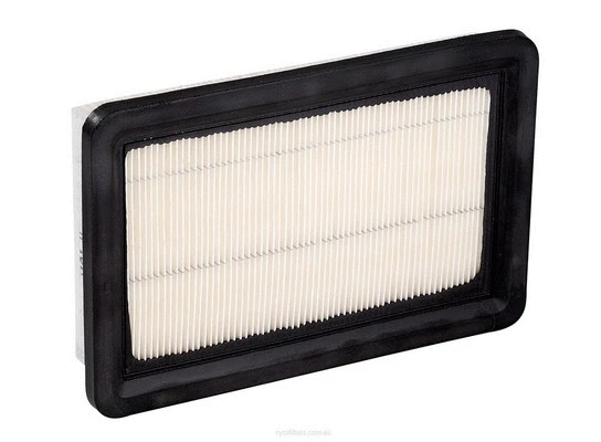 Air Filter (A1317)