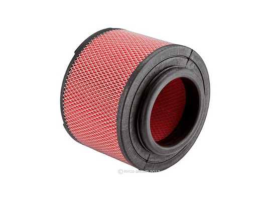 Air Filter (A1541)