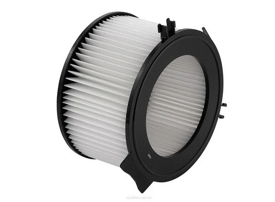 Filter, cabin air (RCA147P)