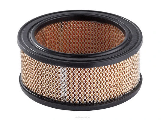 Air Filter (A206)