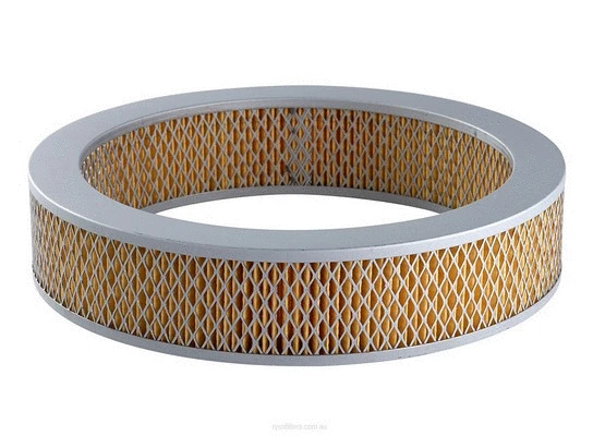 Air Filter (A301)