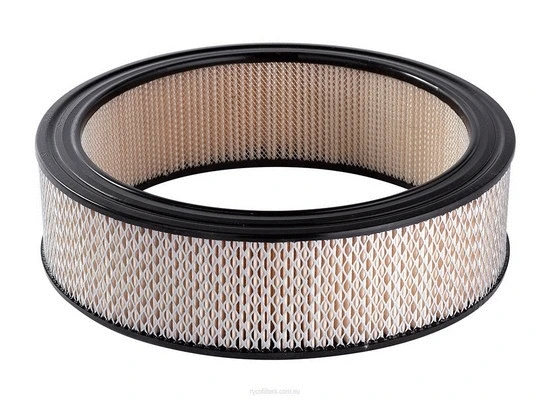 Air Filter (A148)