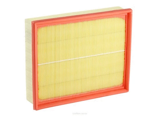 Air Filter (A1509)