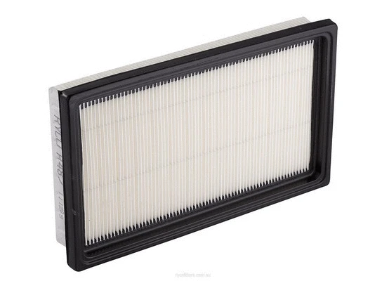 Air Filter (A487)