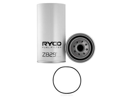 Fuel Filter (Z829)