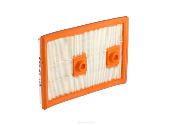Air Filter (A1841)