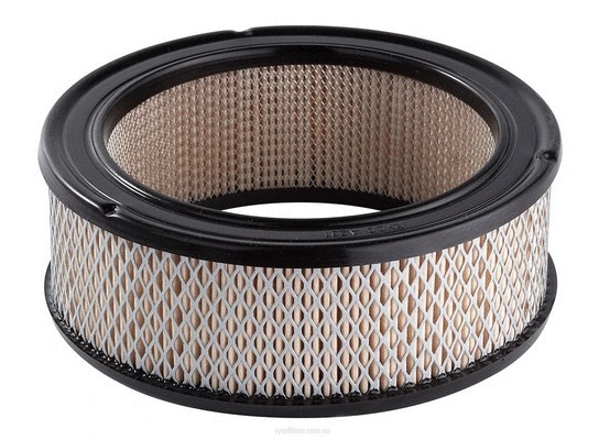 Air Filter (A231)