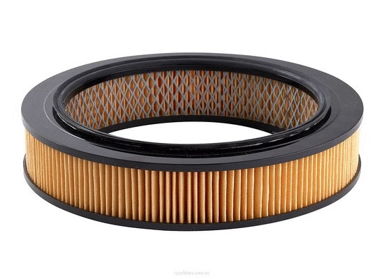 Air Filter (A325)