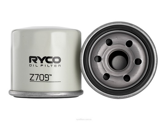 Hydraulic Filter, automatic transmission (Z709)