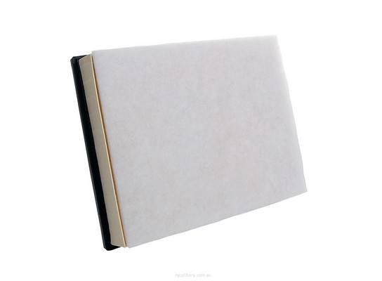 Air Filter (A1829)