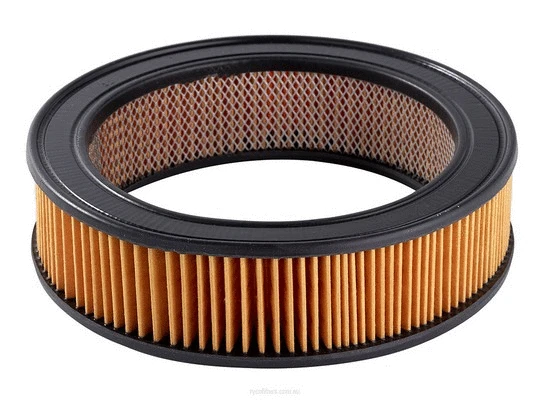 Air Filter (A117X)