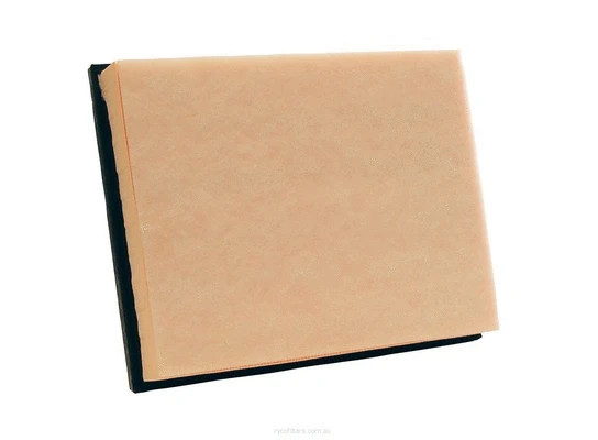Air Filter (A1842)