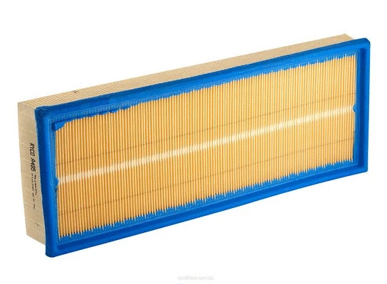 Air Filter (A495)