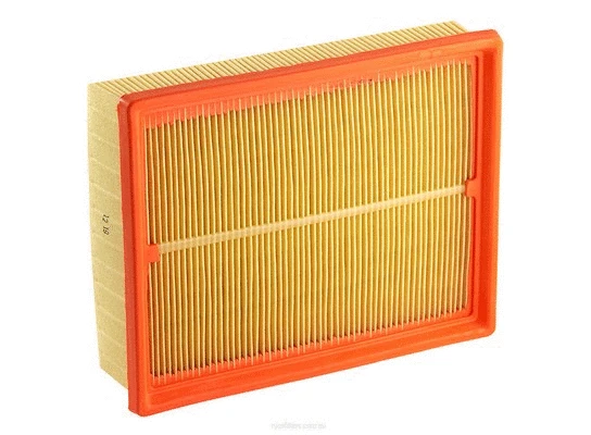 Air Filter (A1542)