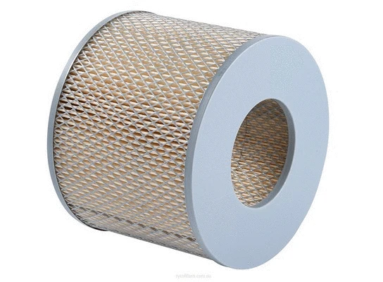 Air Filter (A215X)