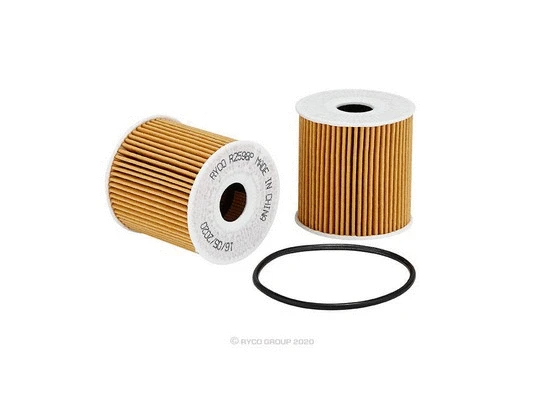 Oil Filter (R2598P)