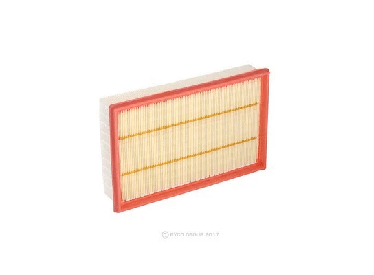 Air Filter (A1598)