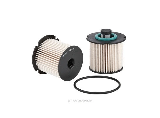 Fuel Filter (R2873P)