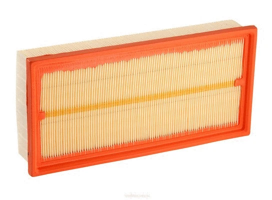 Air Filter (A1613)