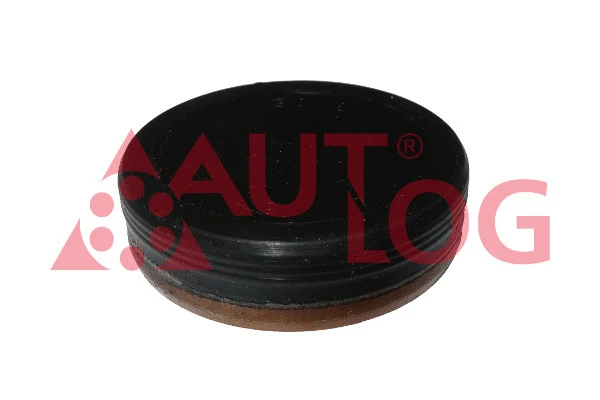 Locking Cover, camshaft (DI1031)