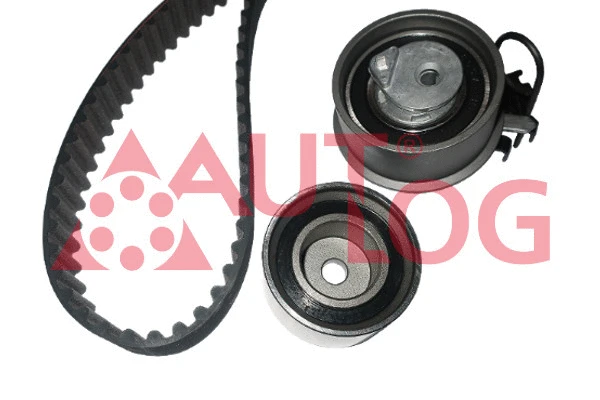 Timing Belt Kit (ZK1110)
