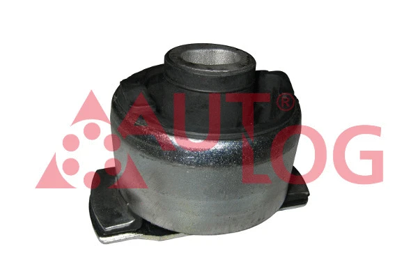 Bushing, axle beam (FT2051)