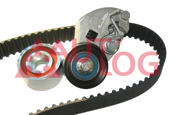 Timing Belt Kit (ZK1113)