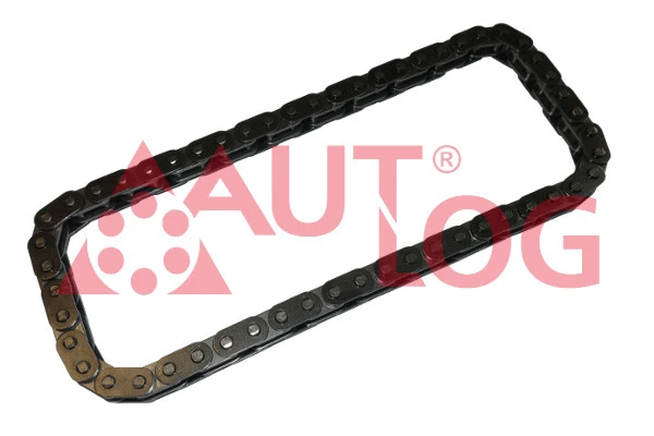 Timing Chain (KT2006)