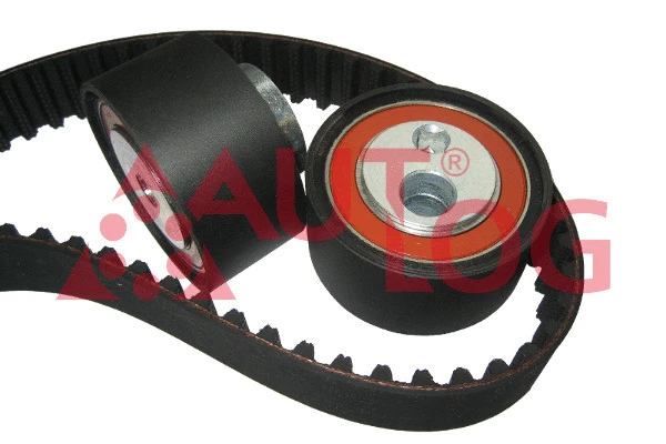 Timing Belt Kit (ZK1116)