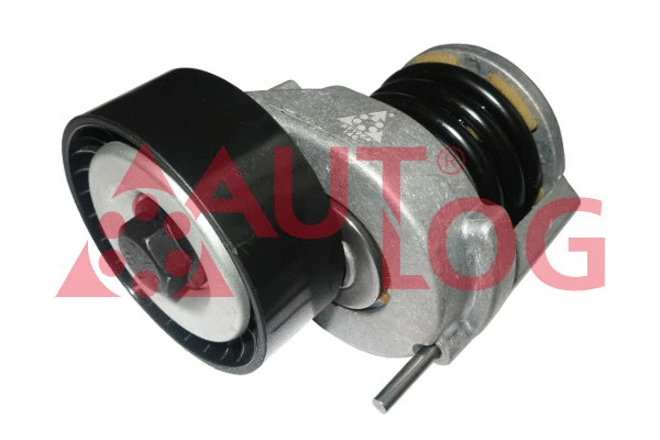 Tensioner Lever, V-ribbed belt (RT1964)