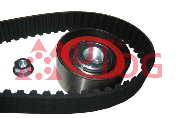 Timing Belt Kit (ZK1087)