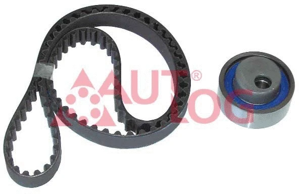 Timing Belt Kit (ZK1010)