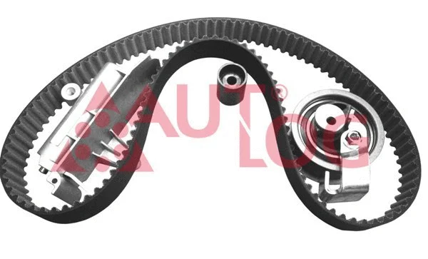 Timing Belt Kit (ZK1034)