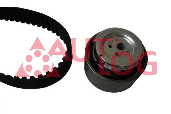 Timing Belt Kit (ZK1093)