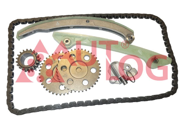 Timing Chain Kit (KT1035)