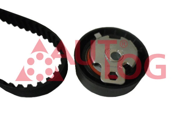 Timing Belt Kit (ZK1092)