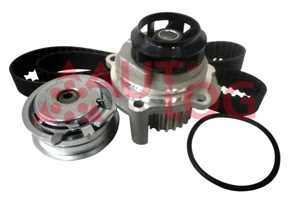 Water Pump & Timing Belt Kit (WK3008)