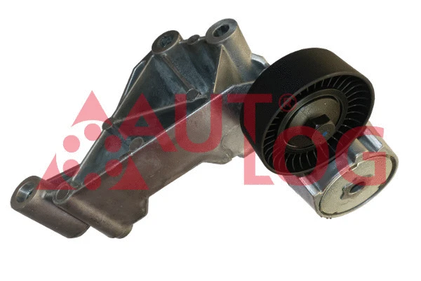 Tensioner Lever, V-ribbed belt (RT1979)