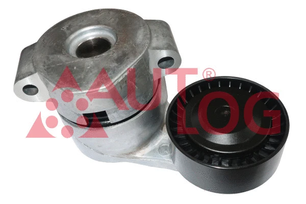 Tensioner Lever, V-ribbed belt (RT1960)