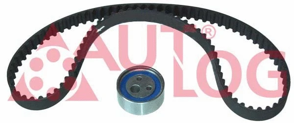 Timing Belt Kit (ZK1005)